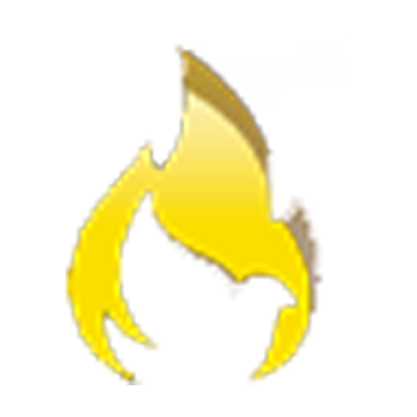 logo dunamis for lt